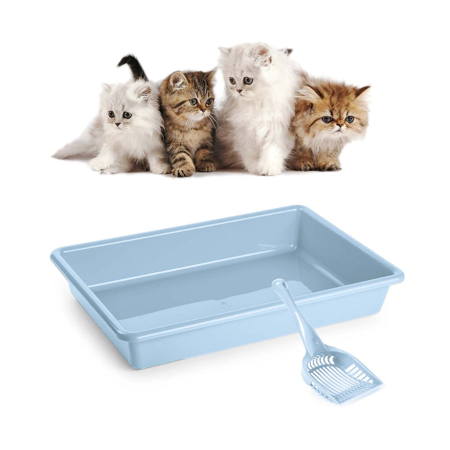 Plastic Forte - Arenero para Gatos Simply con Pala Recogedora Incluida. Azul