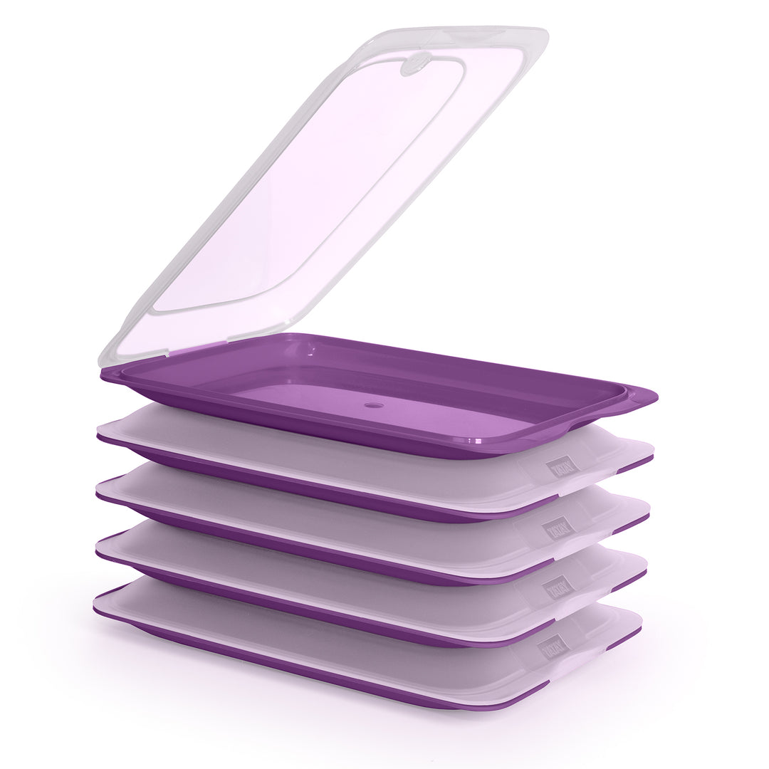 TATAY Fresh - Lote de 6 Recipientes Porta Embutidos y Alimentos. Berenjena 21