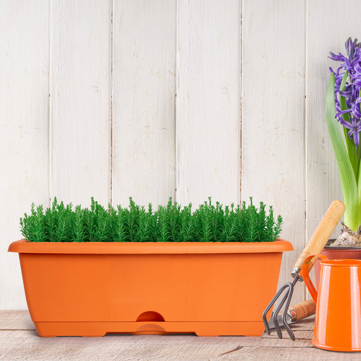 Plastic Forte - Lote de 2 Jardineras Balconeras 60 cm con Platos Integrados. Terracota