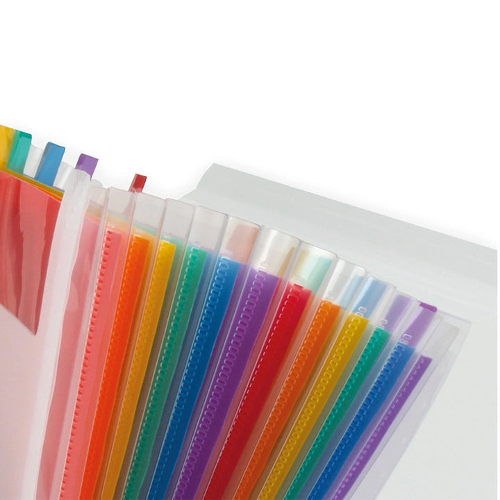 LIDERPAPEL - Carpeta Clasificadora Fuelle Polipropileno DIN A4. Spectrafile