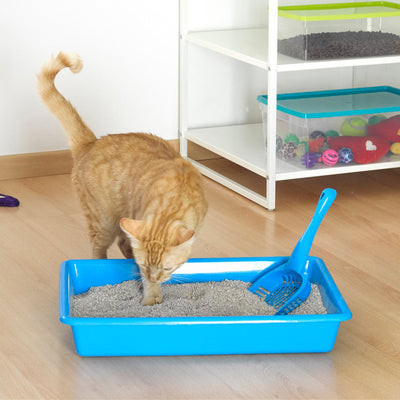 Plastic Forte - Arenero para Gatos Simply con Pala Recogedora Incluida. Grafito