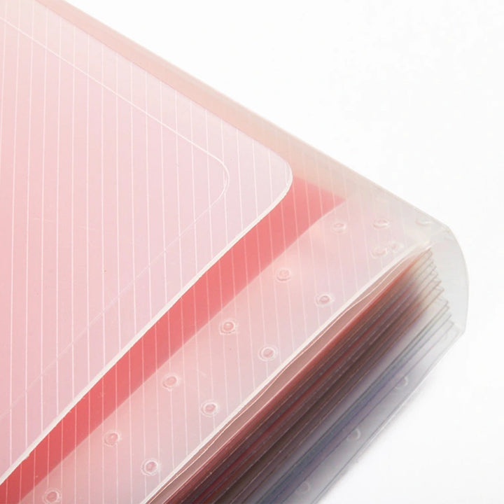 LIDERPAPEL - Carpeta Clasificadora Fuelle Polipropileno DIN A4. Spectrafile