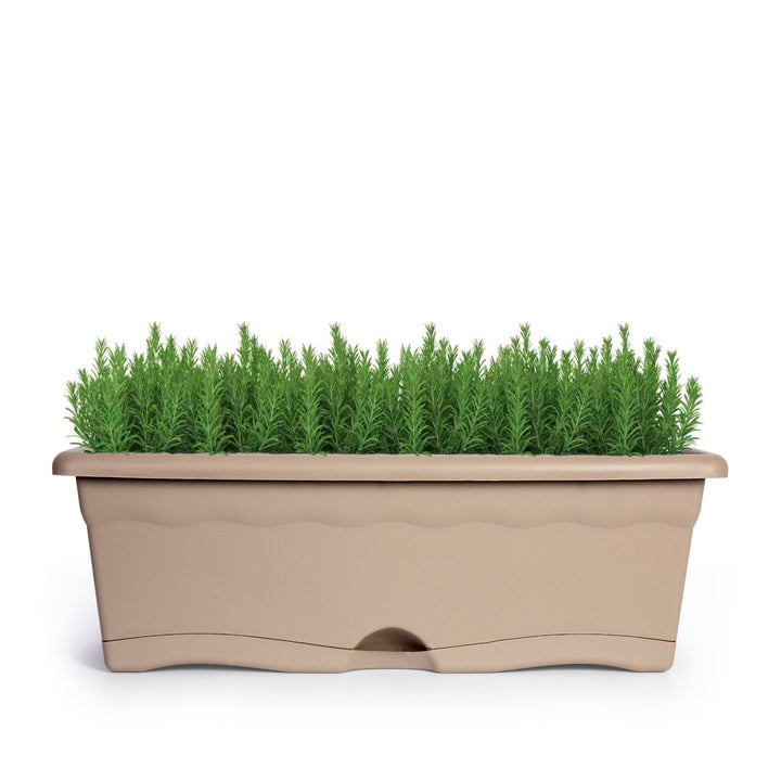 Plastiken TERRA - Jardinera con Plato Integrado. Medida 40 cm 8L. Taupe