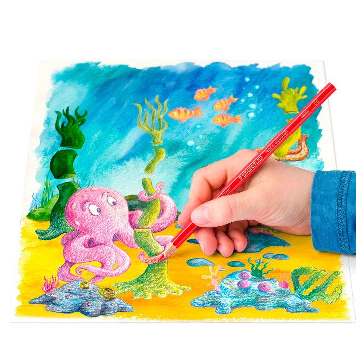 STAEDTLER Noris Aquarell - Set de 12 Lápices de Colores Acuarelables. Incluye Pincel