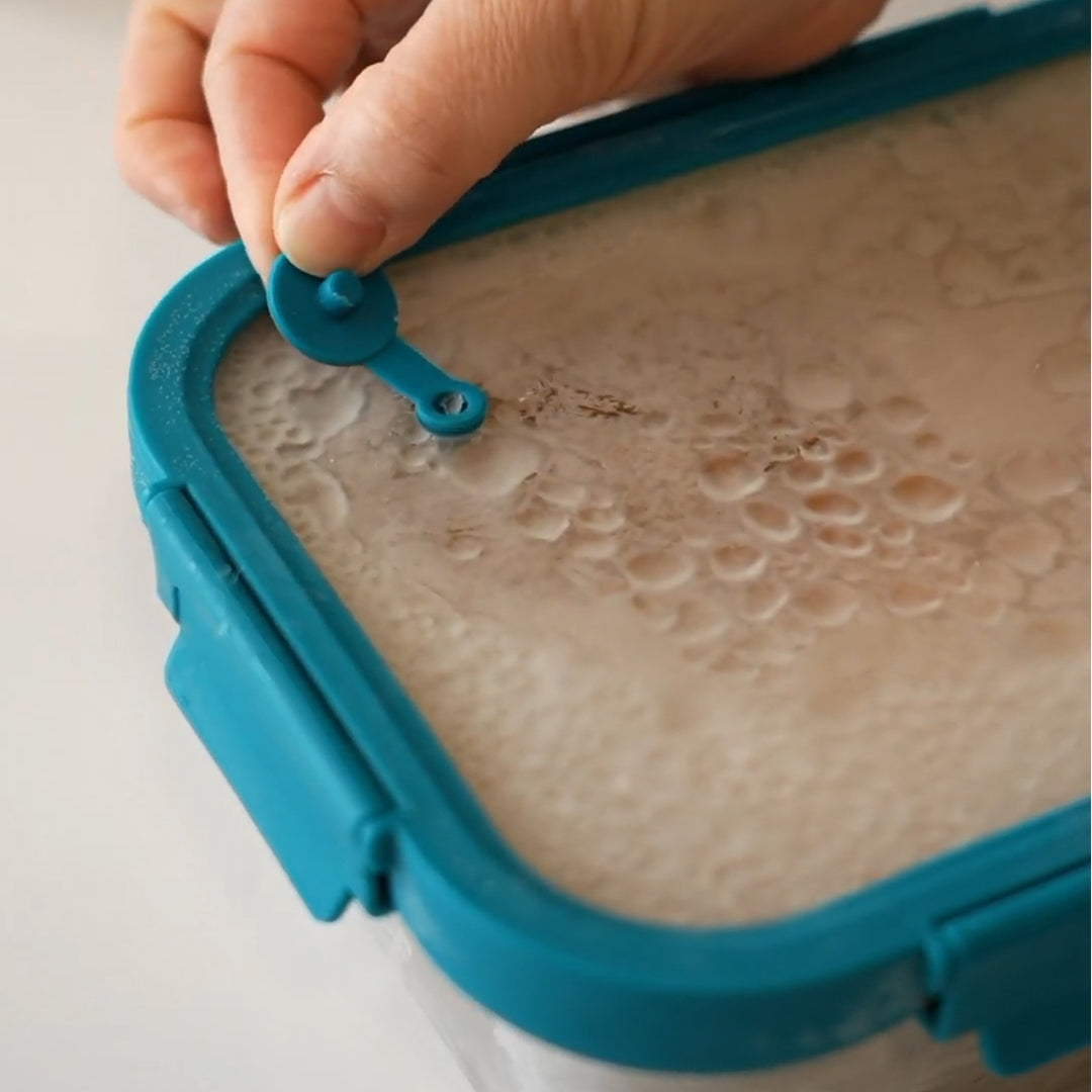 LACOR Etern - Lote de 3 Recipientes Rectangulares de 0.5L, 0.8L y 1.2L en Acero y Cristal Apto Microondas