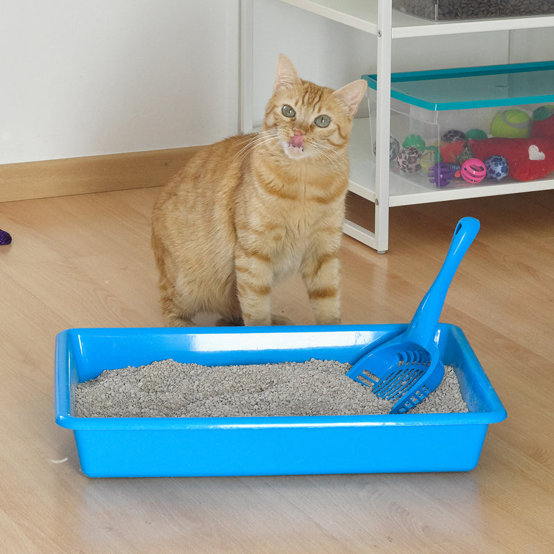 Plastic Forte - Arenero para Gatos Simply con Pala Recogedora Incluida. Perla