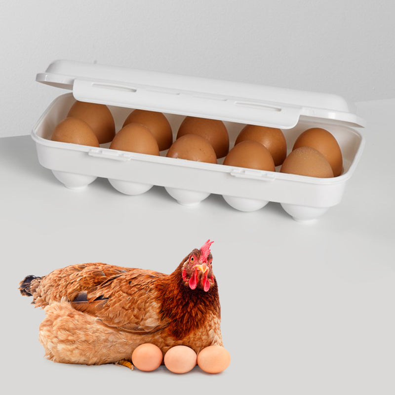  Plastic Forte - Doble Huevera Chick para Despensa y Nevera para 20 Huevos. Turquesa