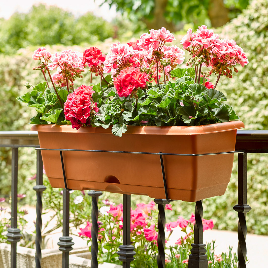 Plastic Forte - Jardinera Balconera 60 cm con Plato Integrado y Soporte. Terracota