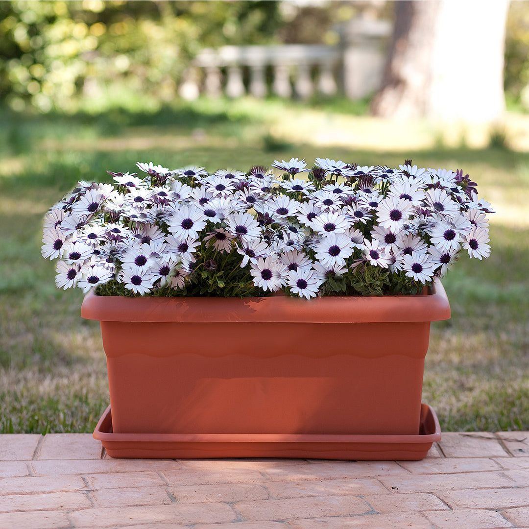 Plastiken TERRA - Jardinera Rectangular 80 x 33 cm 44L con Plato Incluido. Terracota