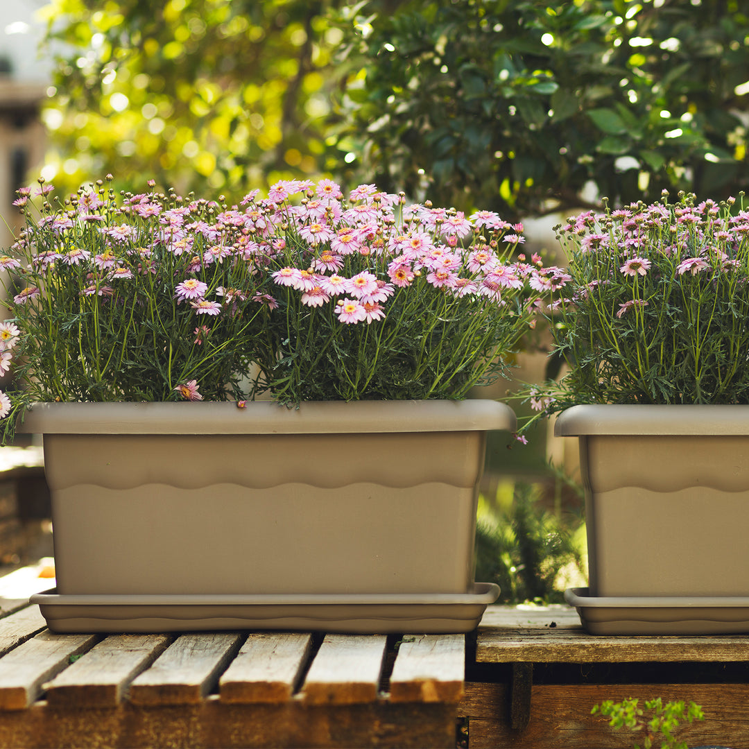 Plastiken TERRA - Jardinera Rectangular 80 cm 31L con Plato Incluido. Taupe