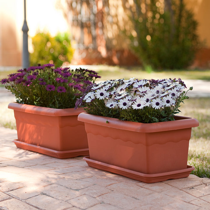 Plastiken TERRA - Jardinera Rectangular 60 cm 22L con Plato Incluido. Terracota