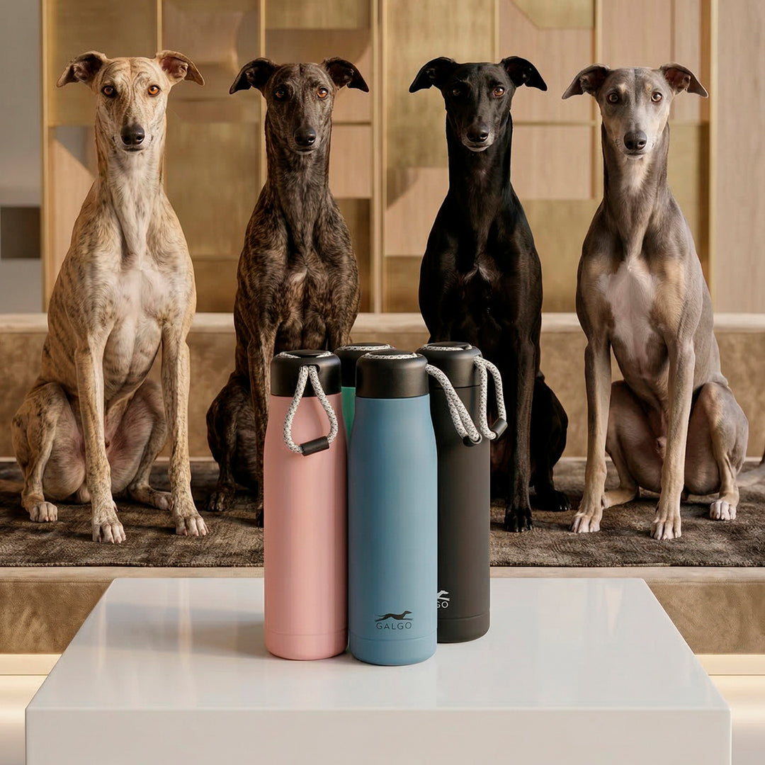 Grafoplas Galgo - Botella Térmica Reutilizable de 0.54L con Interior Cerámico. Verde