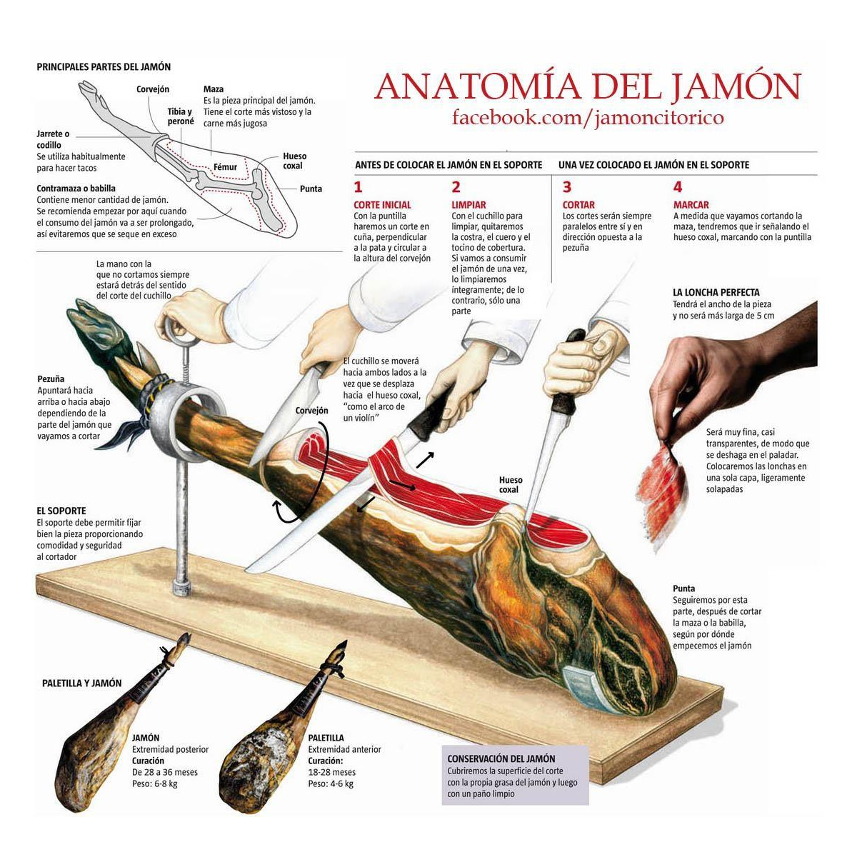 Cuchillo jamonero alveolado POM 29cms 3 Claveles — Ferretería Luma
