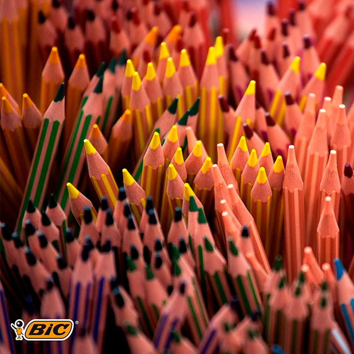 BIC KIDS 950522 - Caja de 12 Lápices hexagonales de Colores Surtidos Evolution Stripes