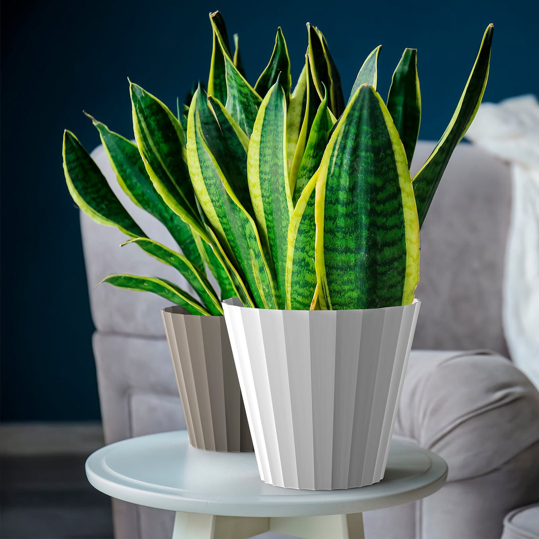 Plastiken 89003 - Maceta Redonda Colección DORIC. Medida 26 cm 8L