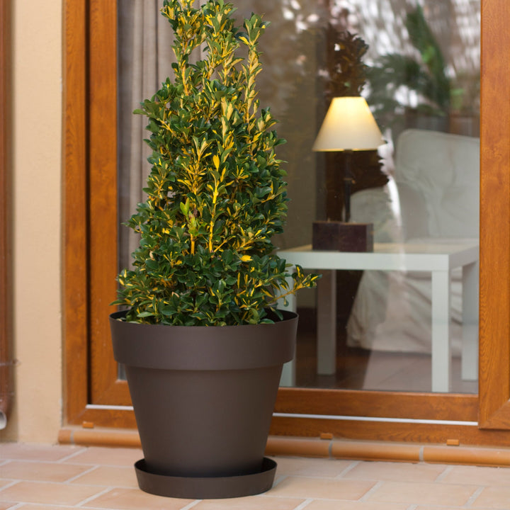 Plastiken TES - Plato Redondo Ø17 cm para Macetas de 22 cm. Blanco