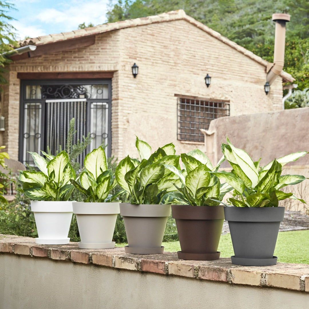 Plastiken 8717 - Plato Redondo Ø17 cm TES para Macetas de 22 cm