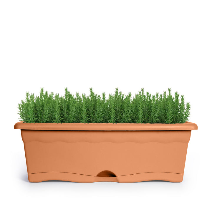 Plastiken TERRA - Set de 4 Jardineras con Plato Integrado. Medida 30 cm 6L. Terracota