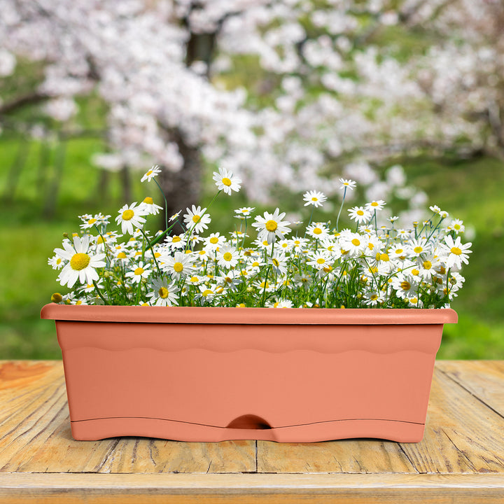 Plastiken TERRA - Set de 4 Jardineras con Plato Integrado. Medida 30 cm 6L. Terracota