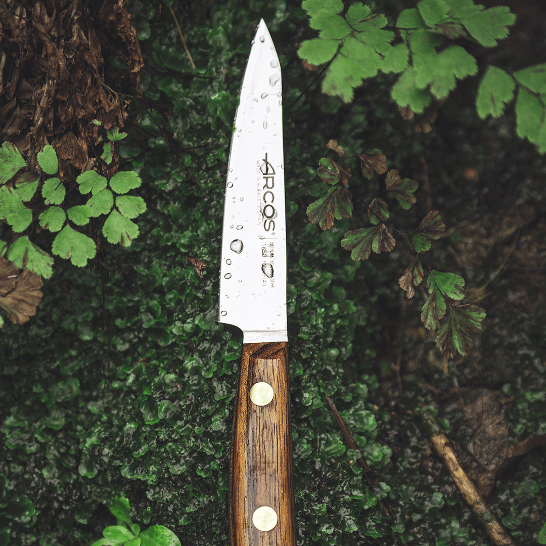 ARCOS Nórdika - Cuchillo Mondador 10 cm Acero Inoxidable Nitrum. Mango de Ovengkol